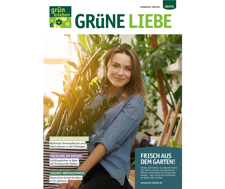 Ausgabe 1