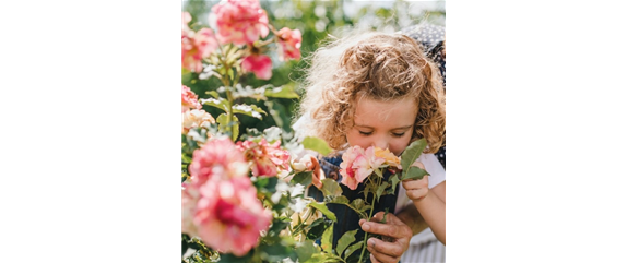 VOLLE BLüTE, VOLLER DUFT!