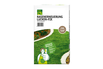 Rasenerneuerung Lücken-Fix