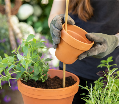 Kreative Gartengestaltung mit DIY-Projekten