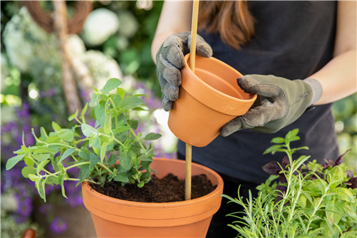 Kreative Gartengestaltung mit DIY-Projekten