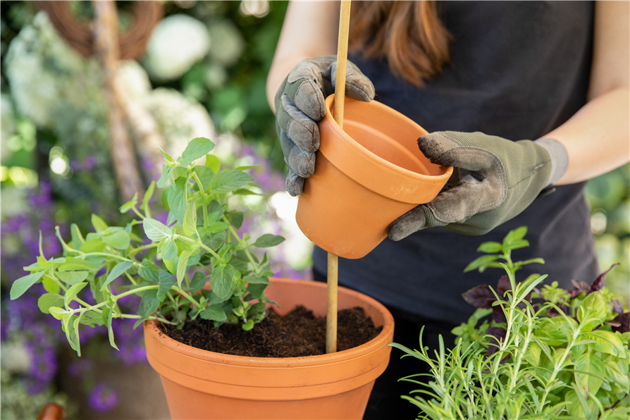 Kreative Gartengestaltung mit DIY-Projekten