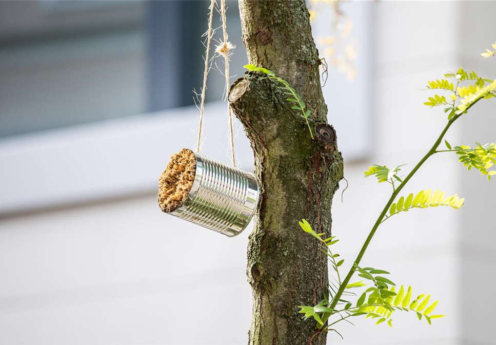 WIE GEHT... INSEKTENHOTEL?