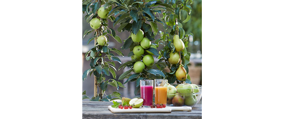 GESUND NASCHEN AUF DEM BALKON!