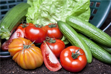 ALLES FÜR DEN BAUERNGARTEN