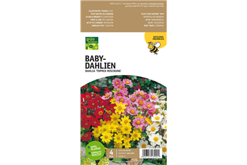 Bienenfreundliche Baby-Dahlien