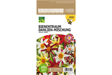 Bienentraum Dahlien-Mischung