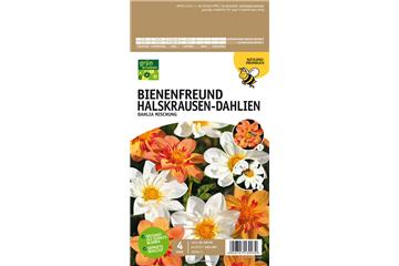 Bienenfreund Halskrausen-Dahlien