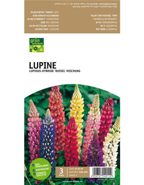 Lupine