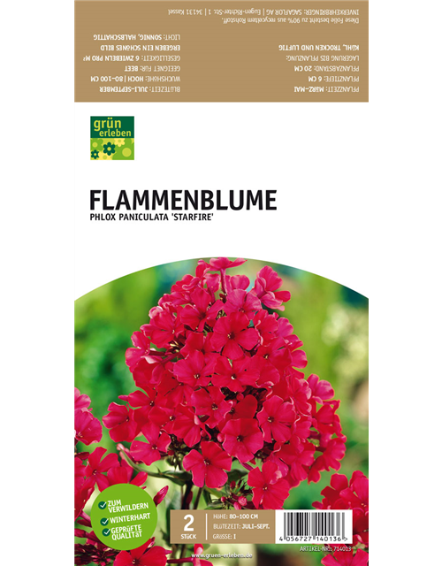 Flammenblume