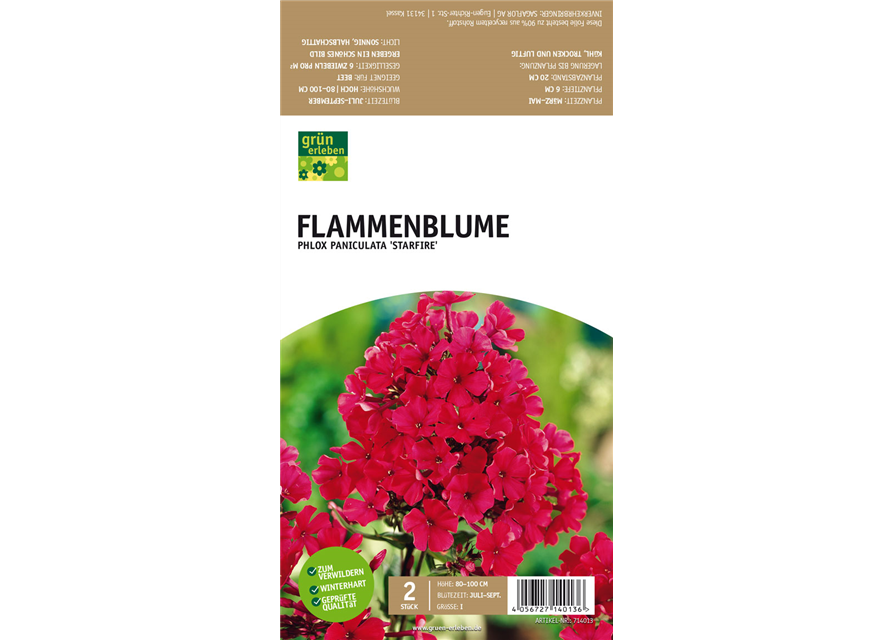 Flammenblume