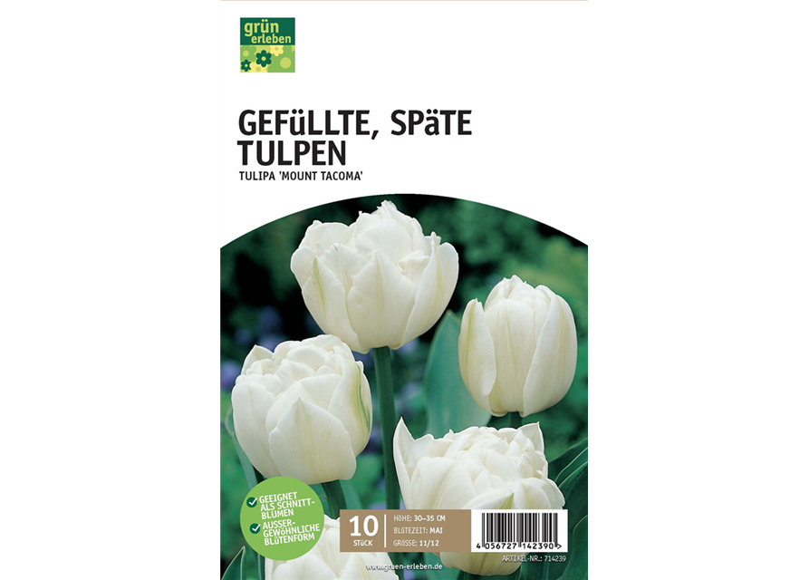 Gefüllte späte Tulpen