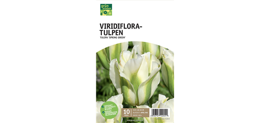 Viridiflora-Tulpen