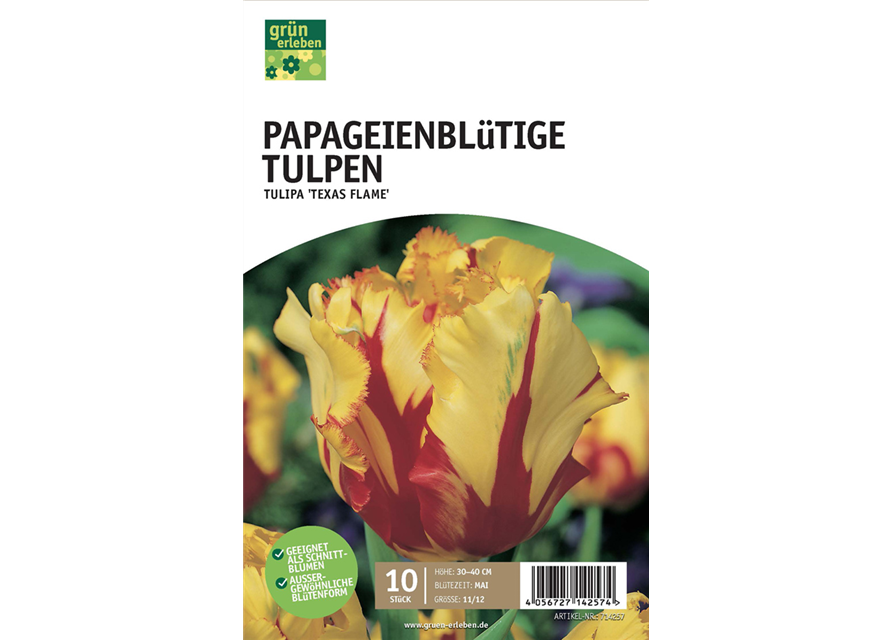 Papagei-Tulpen