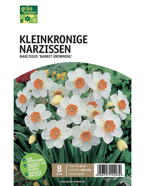 Kleinkronige Narzissen