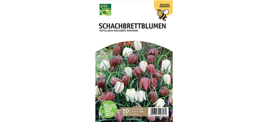 Schachbrettblumen