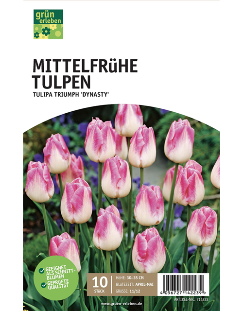 Mittelfrühe Triumph-Tulpen 