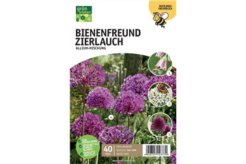 Allium Mischung