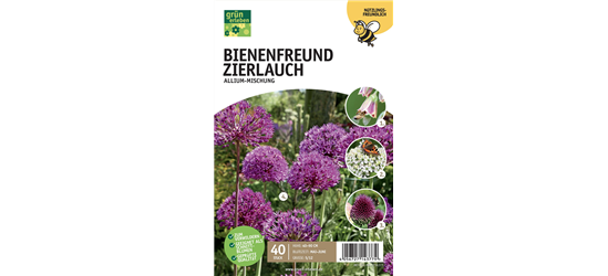 Allium Mischung