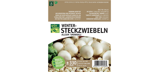 Wintersteckzwiebeln Snowball