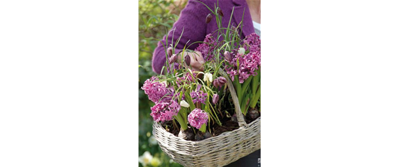 DEN FRüHLING üBERLISTEN