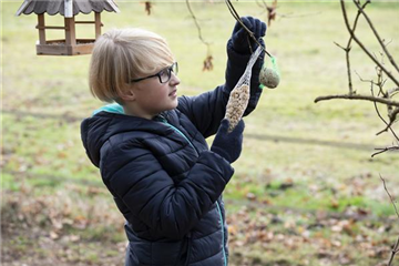 Hungrige Piepmätze im Winter füttern