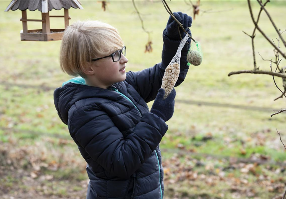 Hungrige Piepmätze im Winter füttern