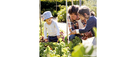 TOP 5 GäRTNERN MIT KINDERN!